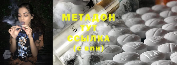 прущие грибы Верея