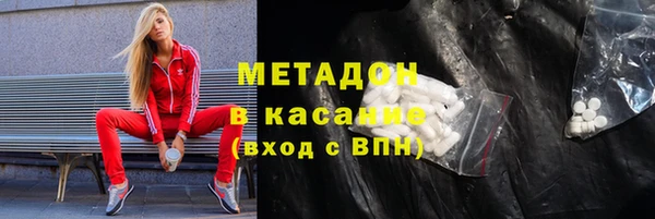 прущие грибы Верея
