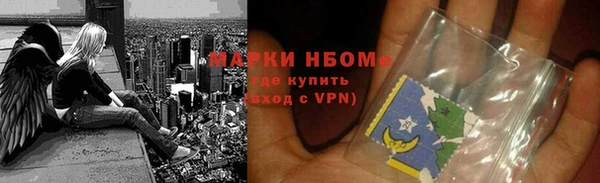 прущие грибы Верея