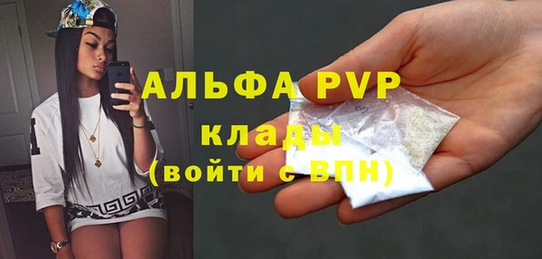 прущие грибы Верея