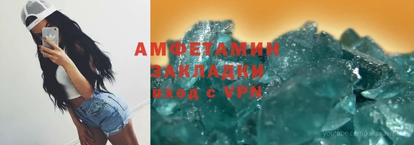 прущие грибы Верея