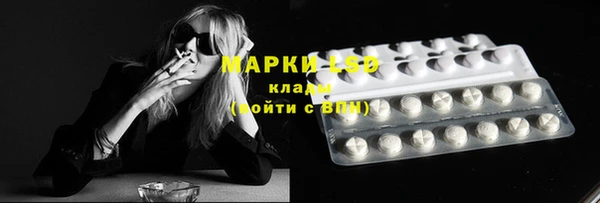 прущие грибы Верея