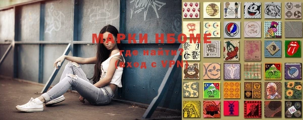 прущие грибы Верея