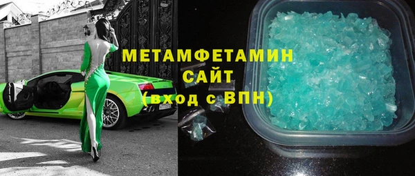 прущие грибы Верея