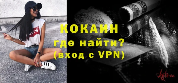 прущие грибы Верея