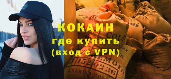 прущие грибы Верея