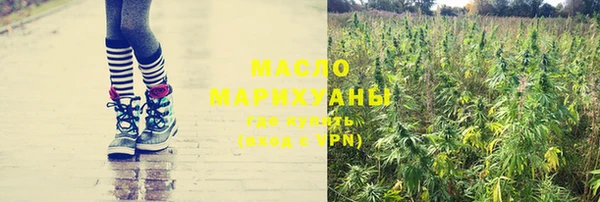прущие грибы Верея