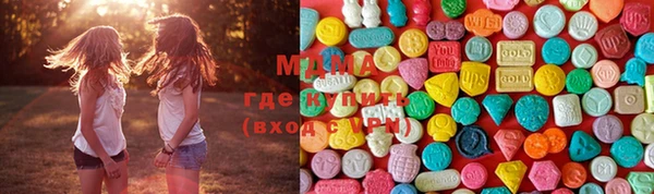 прущие грибы Верея