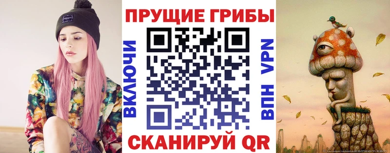 купить наркоту  Вологда  MEGA зеркало  Псилоцибиновые грибы GOLDEN TEACHER 